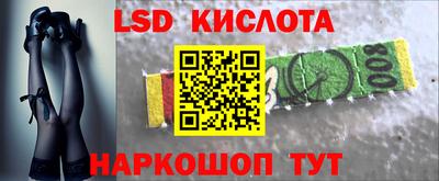 прущие грибы Тверь